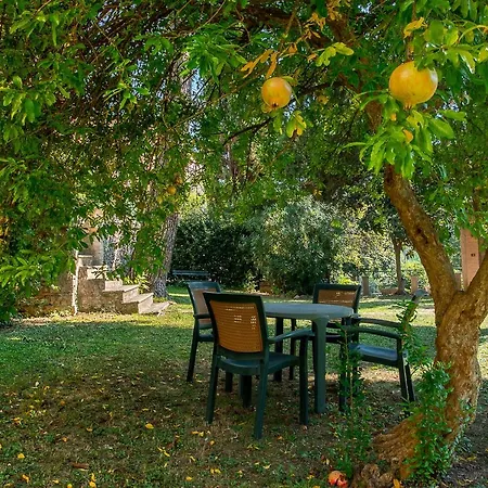 Holiday home Olearium Montorio al Vomano